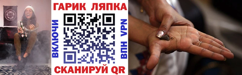 Купить где  Заволжье  ГАШИШ Premium 