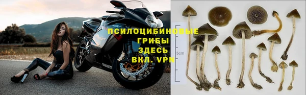 метадон Майский