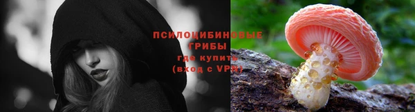 mdpv Магадан