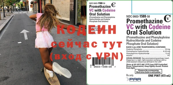 стаф Кущёвская