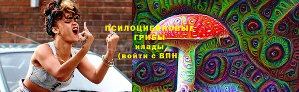 mdpv Магадан
