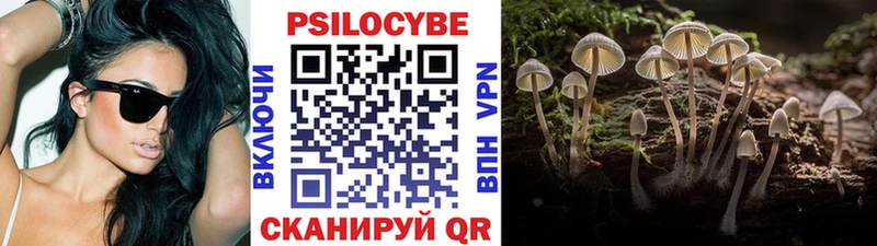 Купить где  Заволжье  Псилоцибиновые грибы Cubensis 